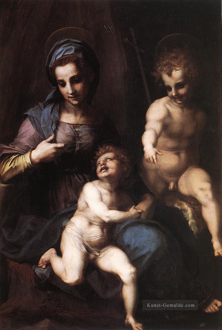 Madonna und Kind mit dem jungen Johannes Renaissance Manierismus Andrea del Sarto Ölgemälde